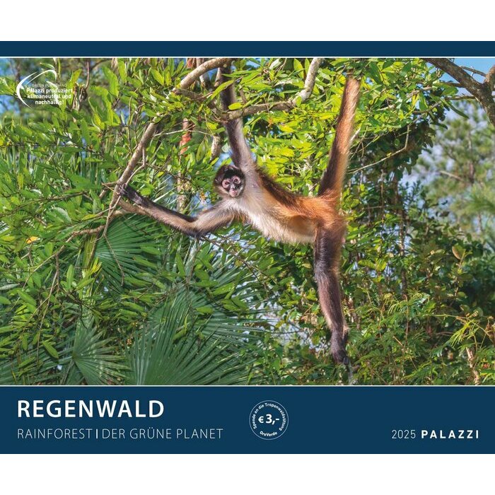 Maxi Calendrier Singe 60x50cm 2025 Forêt Tropicale