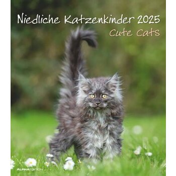 Calendrier Spirale 2025 Chatons Mignons Calendrier Spirale 2025 Chatons Mignons