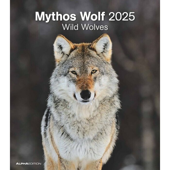 Calendrier Papier Spirale 2025 Loups Sauvages