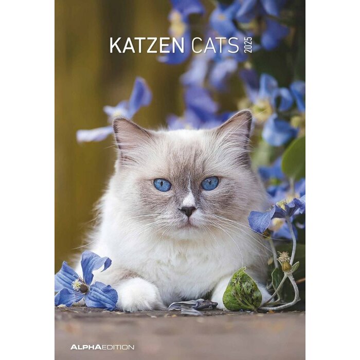 Calendrier Papier Spirale 2026 Chats
