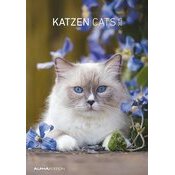 Calendrier Papier Spirale 2026 Chats