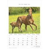 Calendrier Spirale 2025 Chevaux