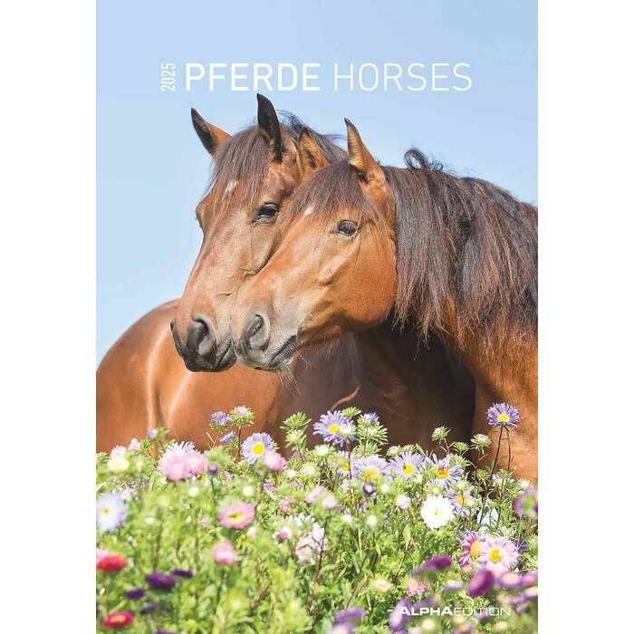Calendrier Papier Spirale 2026 Chevaux