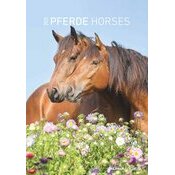 Calendrier Papier Spirale 2026 Chevaux