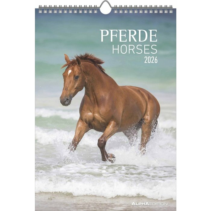 Calendrier Papier Spirale 2025 Chevaux