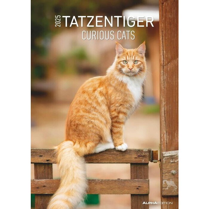 Calendrier Papier A3 Spirale 2025 Chats Curieux