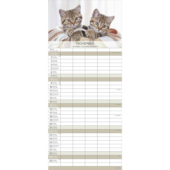 Calendrier Familial 2026 Chatons