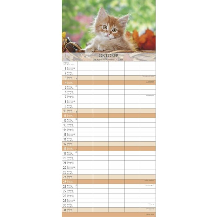 Calendrier Familial 2026 Chat