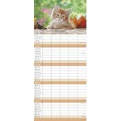 Calendrier Familial 2026 Chat