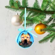 Petite Boule de nol American Staffordshire Terrier