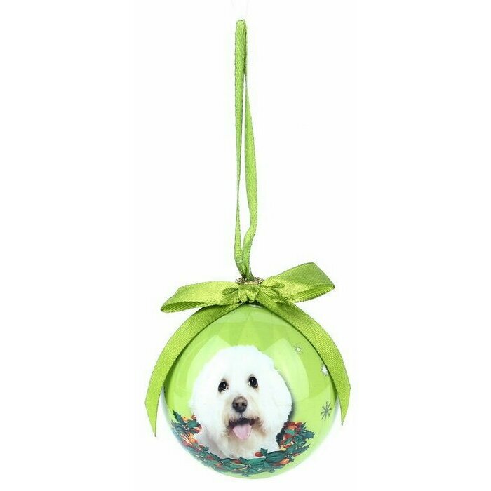 Petite Boule de Nol Bichon Fris