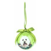 Petite Boule de Nol Bichon Fris