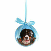 Petite Boule de Nol Bouvier Bernois