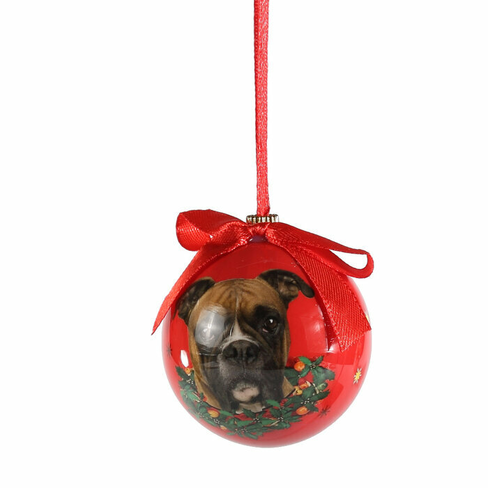 Petite Boule de Nol Boxer