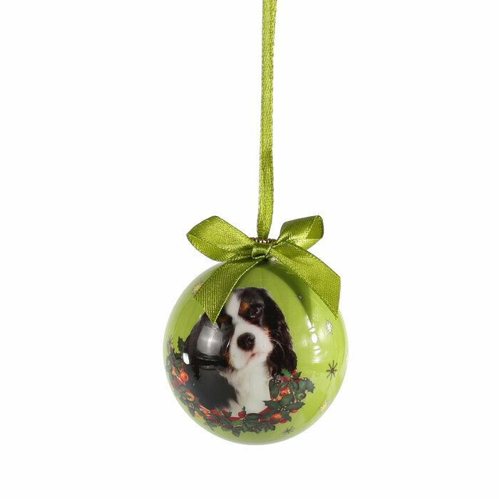 Petite Boule de Nol Petite Boule de Nol Cavalier King Charles Tricolore
