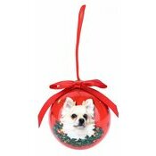 Petite Boule de Nol Chihuahua Poil Long