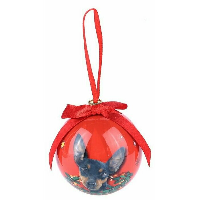 Petite Boule de Nol Pinscher Nain