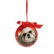 Petite Boule de Nol Shih Tzu