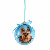 Petite Boule de Nol Yorkshire terrier
