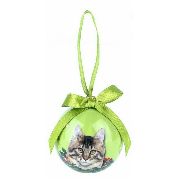 Petite Boule de Nol Chat Maine Coon
