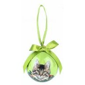 Petite Boule de Nol Chat Maine Coon