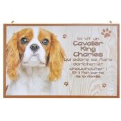 Plaque Bois Dcorative Cavalier King Charles Blenheim