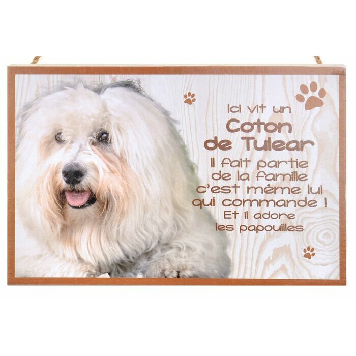 Plaque Bois Dcorative Coton de Tulear