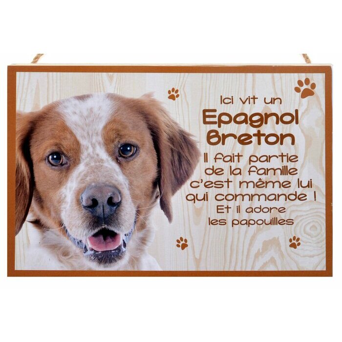Plaque Bois Dcorative Epagneul Breton