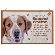 Plaque Bois Dcorative Epagneul Breton