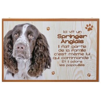 Plaque Bois Décorative Springer Anglais