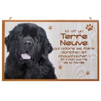 Plaque Bois Décorative Terre Neuve