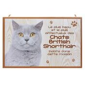 Plaque Bois Décorative Chat British Shorthair gris