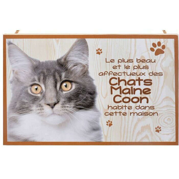 Plaque Bois Dcorative Chat Maine Coon
