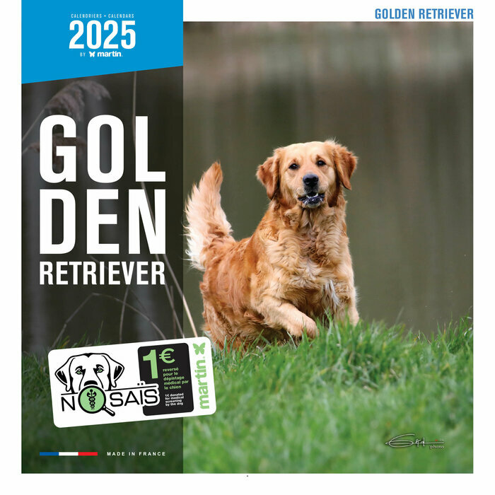 Calendrier Mural 2025 Chien Golden Retriever