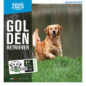 Calendrier Mural 2025 Chien Golden Retriever