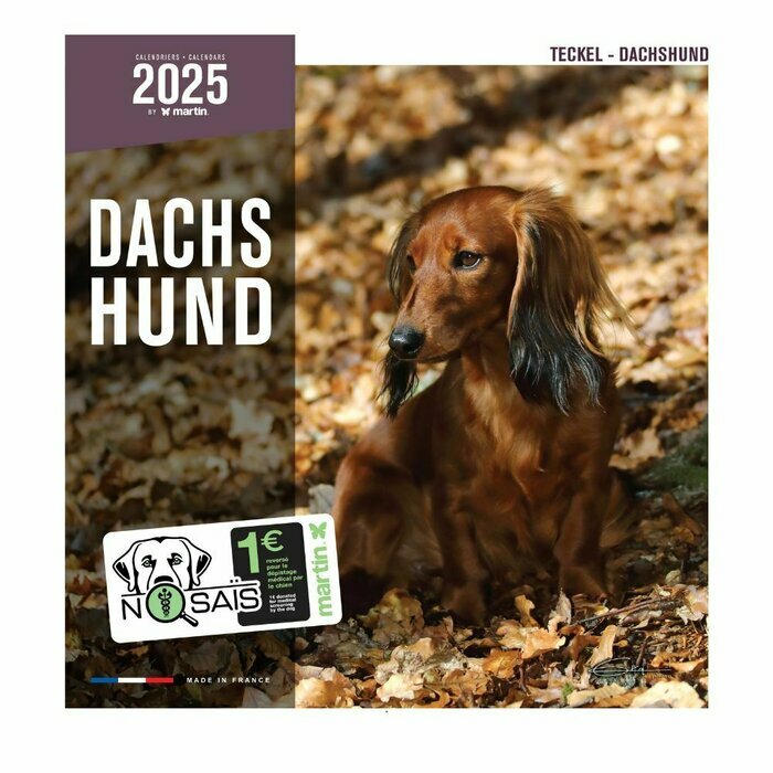 Calendrier Mural 2025 Chien Teckels