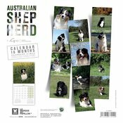 Calendrier 2025 Chien Berger Australien toutes couleurs