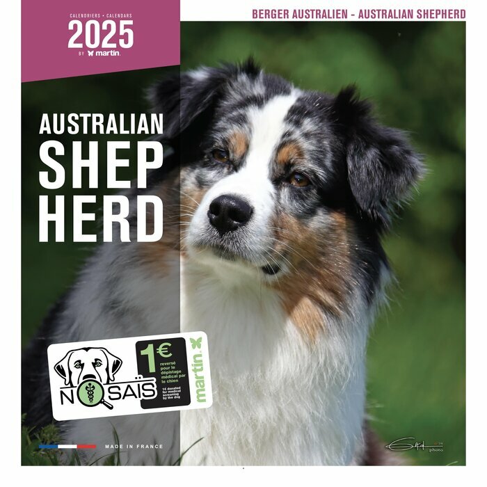 Calendrier Mural 2025 Chien Berger Australien