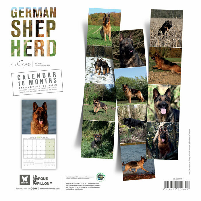 Calendrier BA 2025 Chien Berger Allemand
