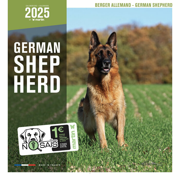 Calendrier Mural 2025 Chien Berger Allemand