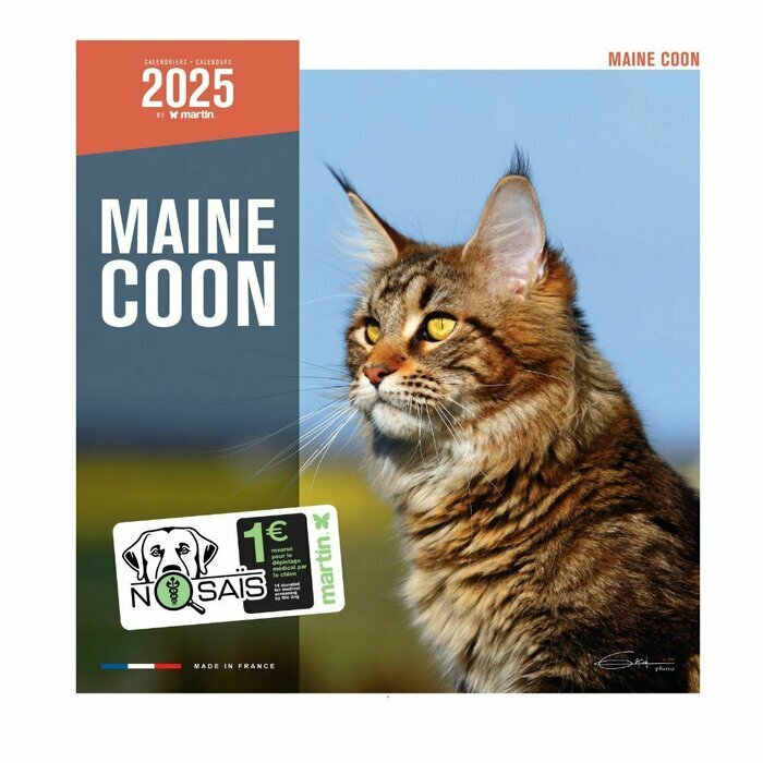 Calendrier Mural 2025 Chat Maine Coon