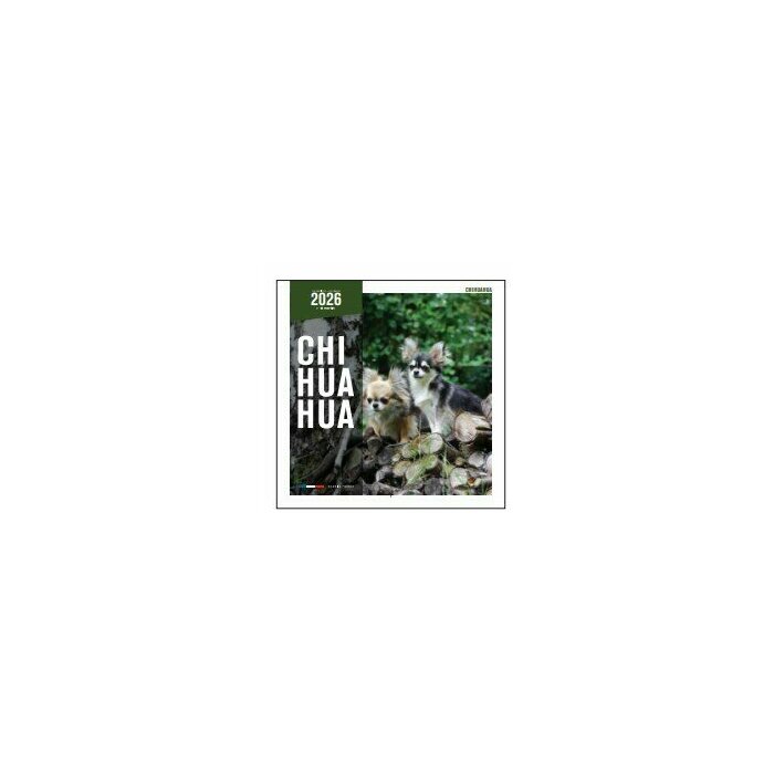 Calendrier 2025 Chien Chihuahua tous poils