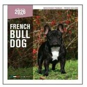 Calendrier Mural 2025 Chien Bouledogue Français