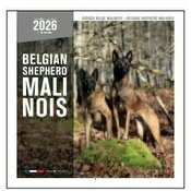 Calendrier Mural 2025 Chien Berger Belge Malinois
