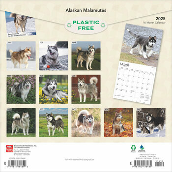 Calendrier 2025 Chien Race Alaskan Malamute
