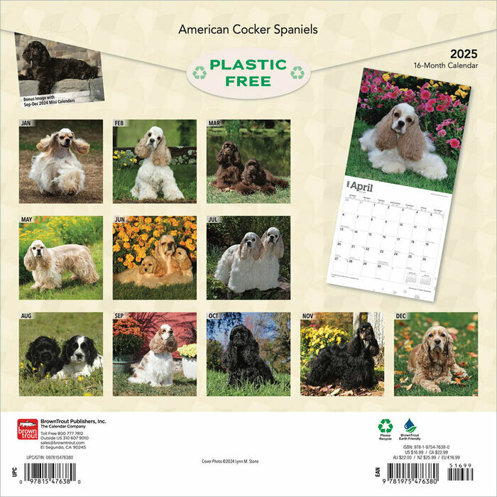 Calendrier Cocker 2025 Chien Race Cocker Amricain