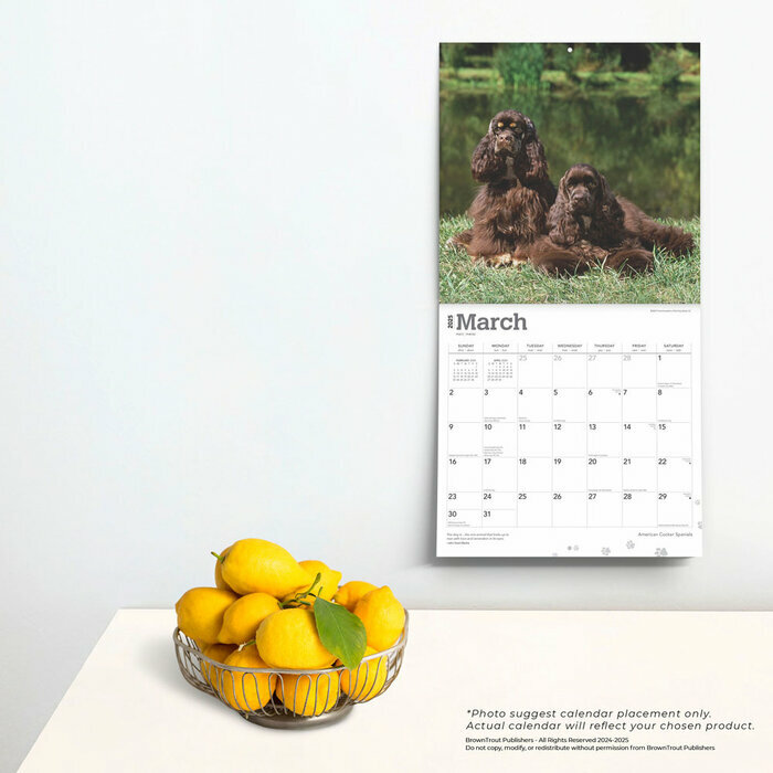 Calendrier 2025 Cocker Amricain