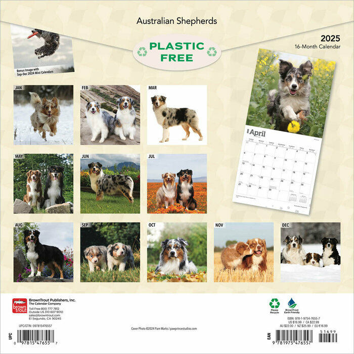 Calendrier Aussie 2025 Chien Race Berger Australien