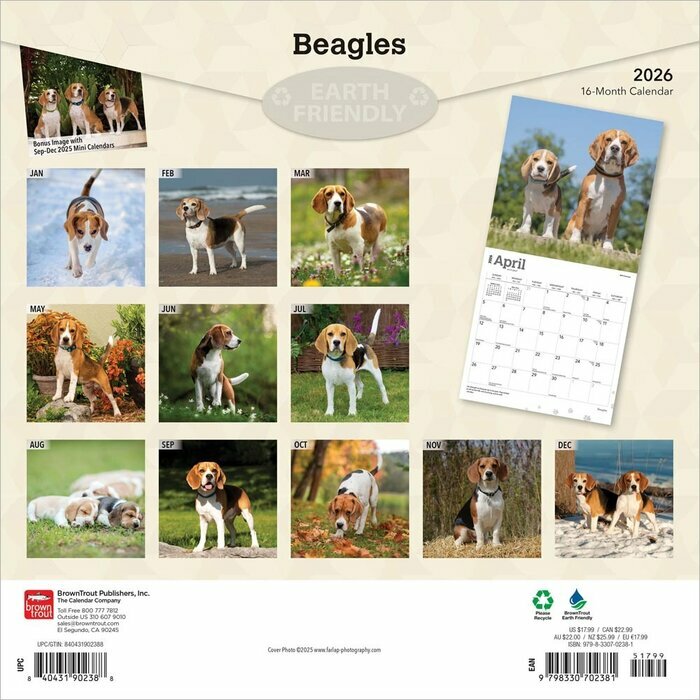 Calendrier 2025 Beagle