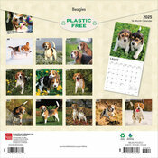 Calendrier 2025 Beagle